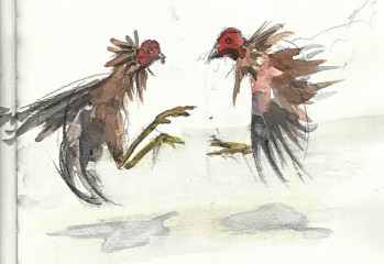 cockfightint in phi (Urban Sketchers)